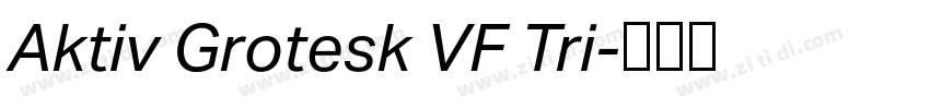 Aktiv Grotesk VF Tri字体转换